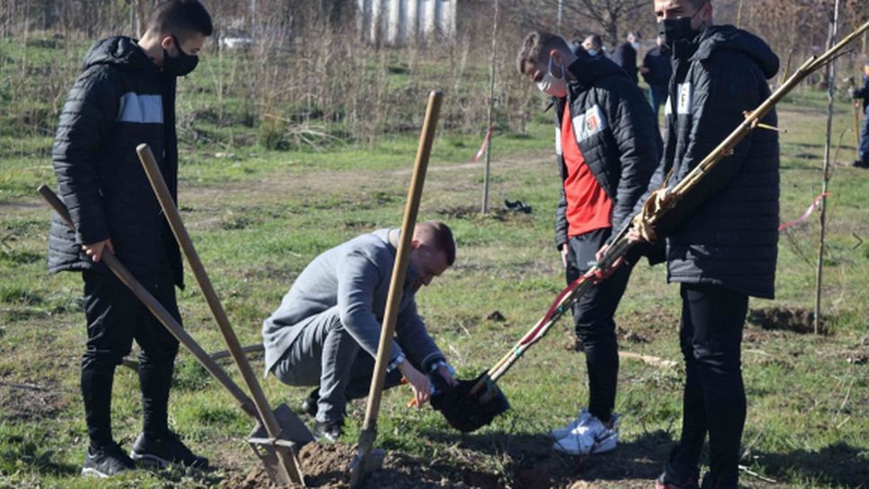 Спортното семейство на Локомотив (Пд) засади 60 дръвчета