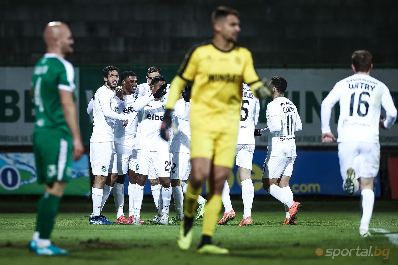 Ботев (Враца) 0:1 Лудогорец