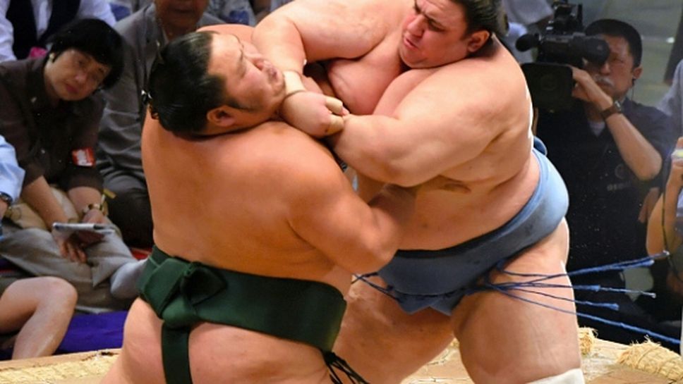 Аоияма ще пропусне есенния турнир по сумо