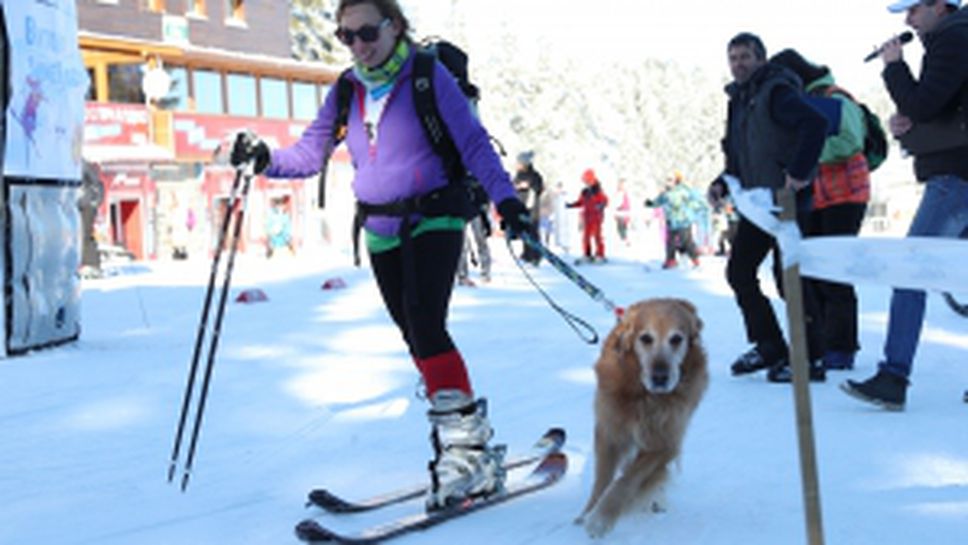 Световен ден на снега на Витоша