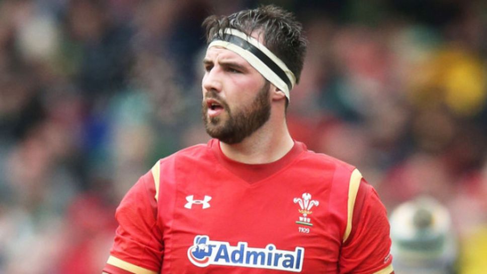 Уелски ръгбист пропуска мач заради ухапване от... лъв (видео)