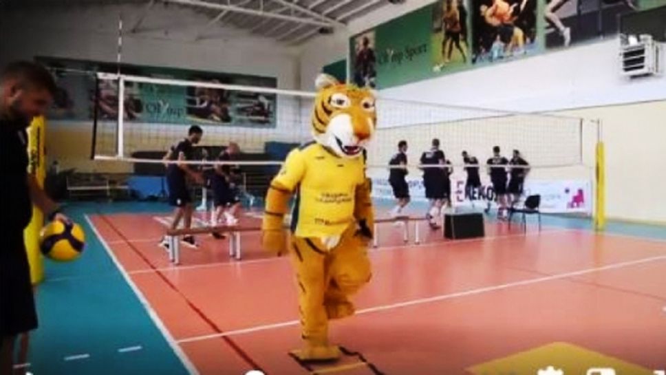 Талисманът на Хебър изненада волейболистите в Тетевен (видео)