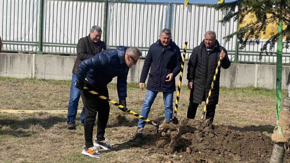 Със засаждането на хималайски кедър започна изграждането на парк "110 години Ботев Пловдив"
