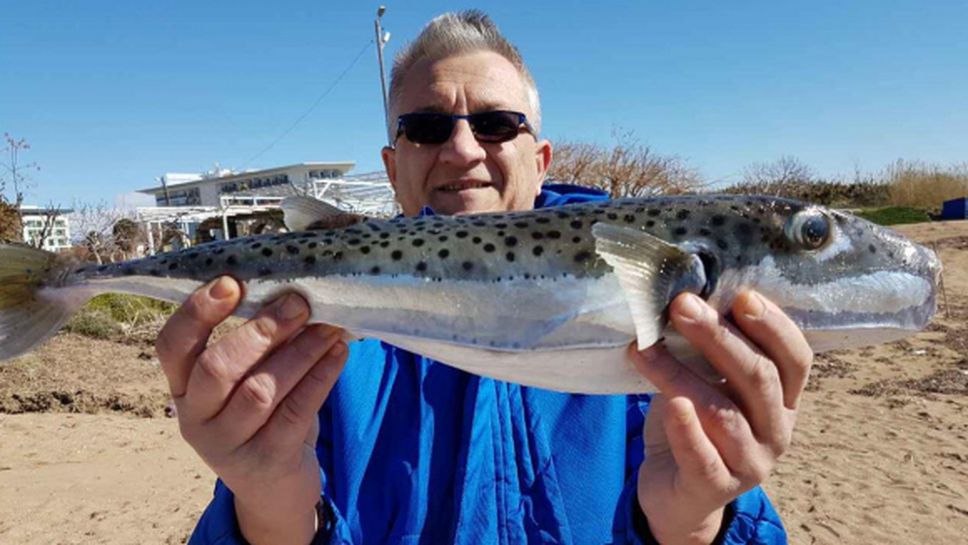 Шефове на Монтана го удариха на риболов в Турция