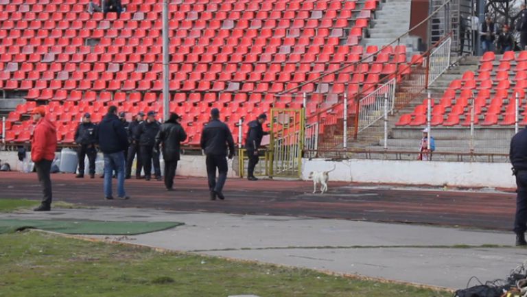 Куче се разходи на "Армията" преди началото на ЦСКА - Септември (София)
