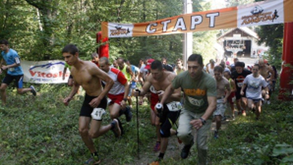 Изпревари лифта - 2016