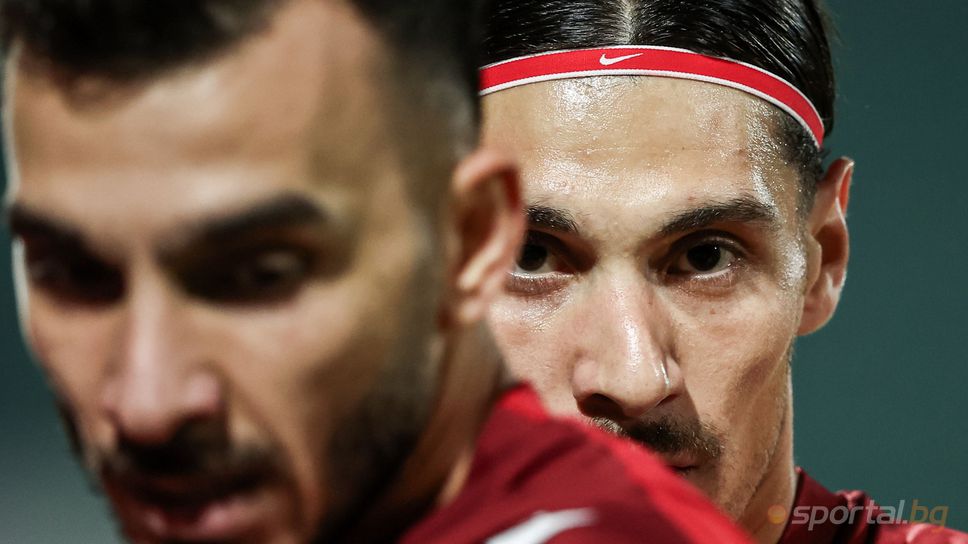 Брахими виси с картони