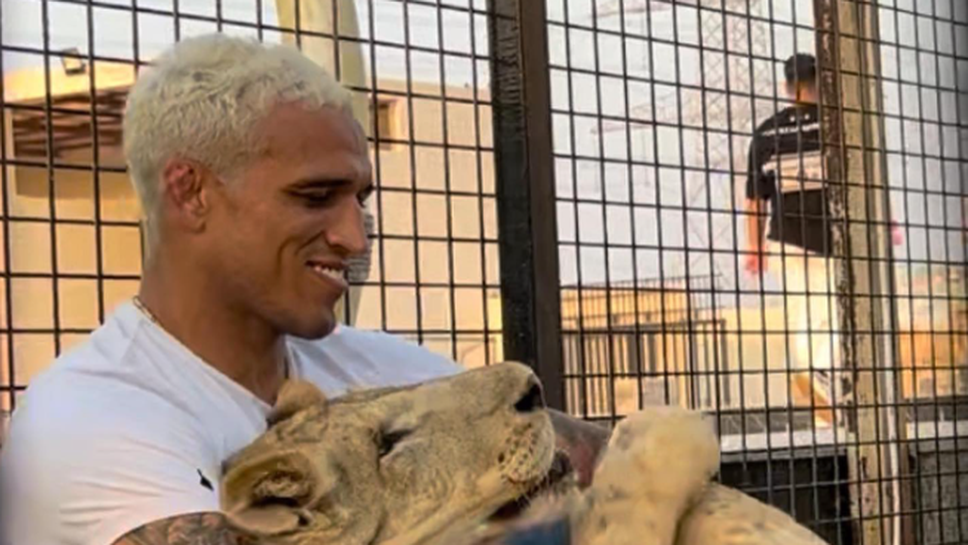 Чарлс Оливейра разходи лъв в Абу Даби