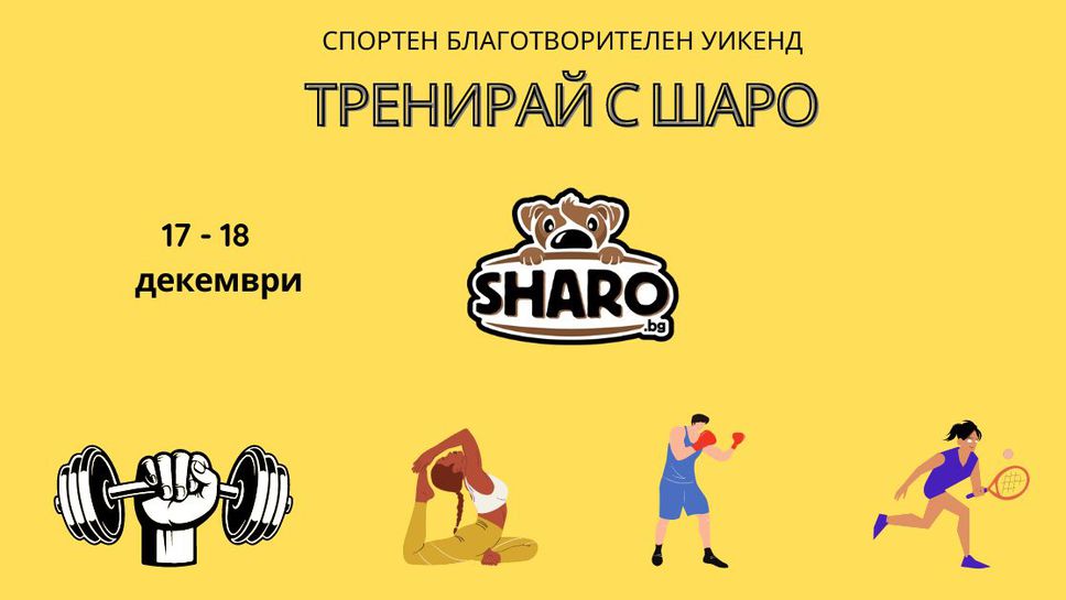 Популярни български спортисти ще подкрепят грижата за бездомни кучета с благотворителни тренировки