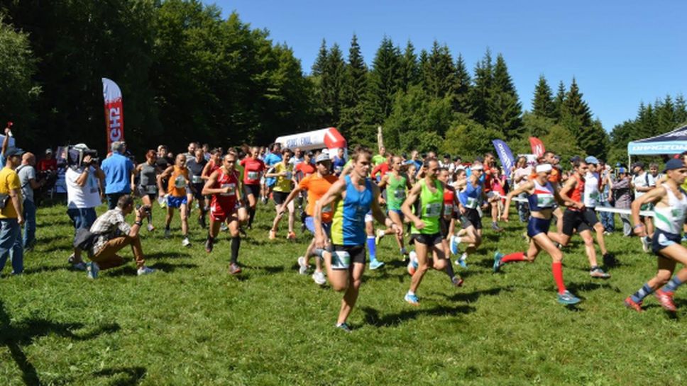 Дизела до последно под въпрос за Витоша Летен Фест