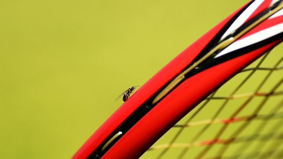 Тенисист изяде насекомо преди мач на “Уимбълдън” (видео)
