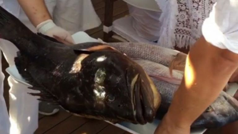 Спас Русев хвана големи риби в тузарски курорт (снимка)