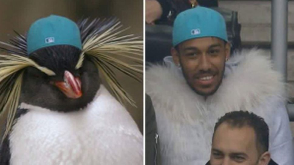 Обамеянг пак събра погледите