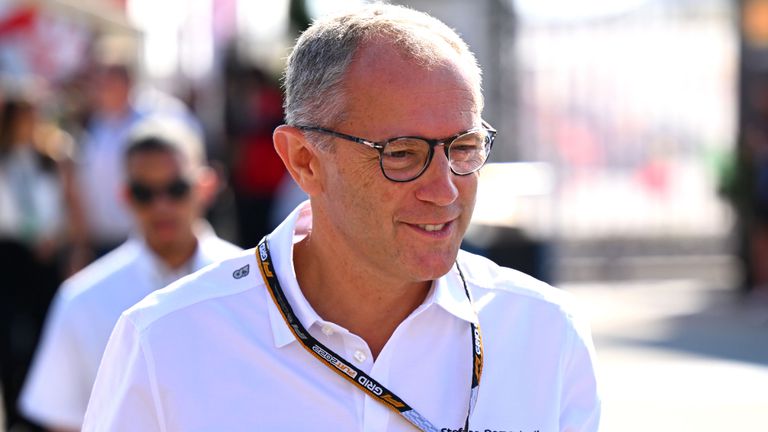 Главният изпълнителен директор на Формула 1 Стефано Доменикали заяви че