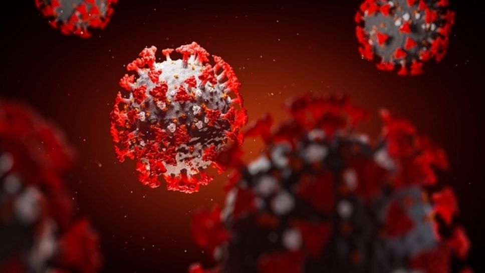 96 са новите случаи на COVID-19