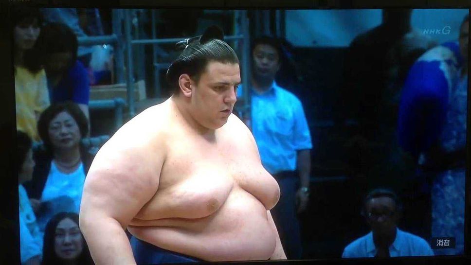 Аоияма загуби  първа схватка в Токио, Хакухо се оттегли с контузия