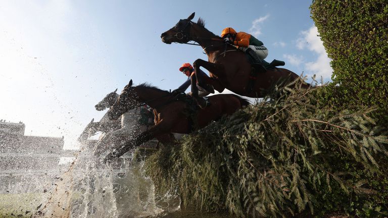 Три състезателни коня умряха по време на най-голямата конна надпревара