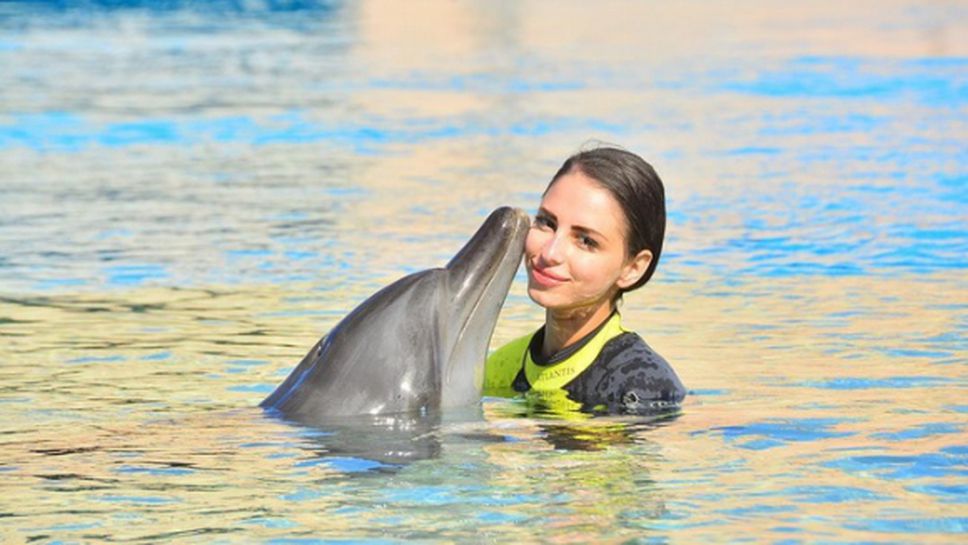 Цвети Стоянова плува с делфини