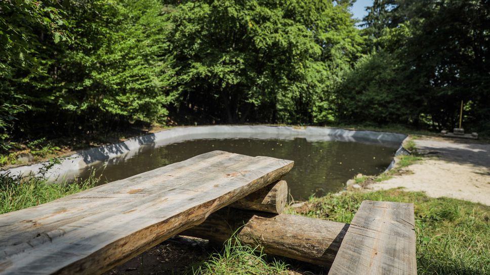 Почистени и възстановени са Симеоновските езера