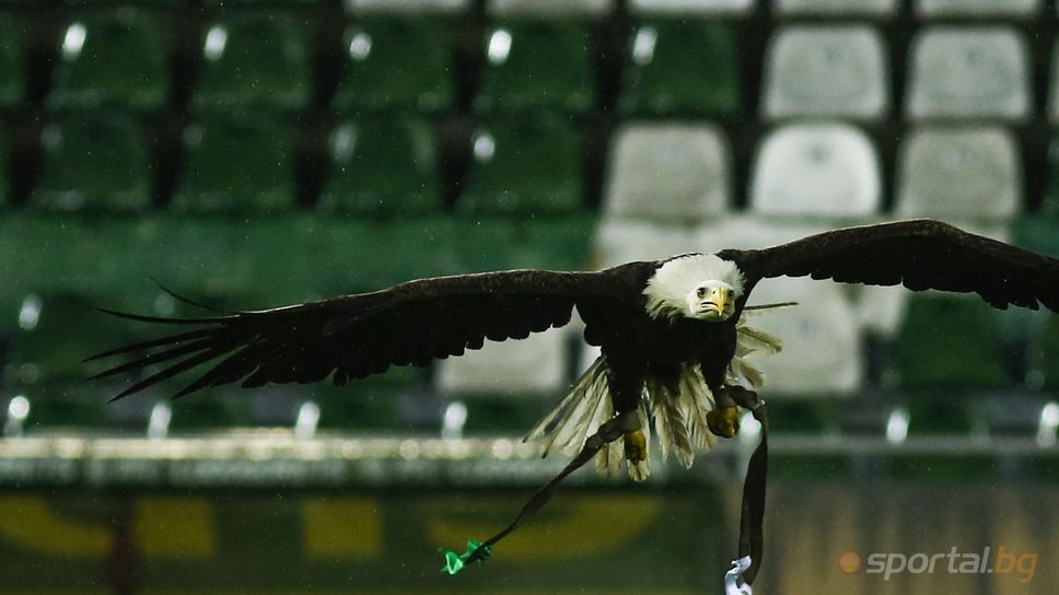 Талисманът на Лудогорец полетя преди важния мач срещу Локомотив (Пловдив)