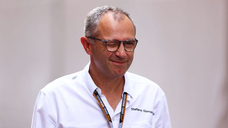 Главният изпълнителен директор на Формула 1 Стефано Доменикали коментира че
