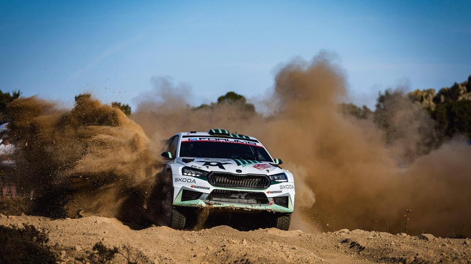 Ще се върне ли Шкода в WRC по новите правила?