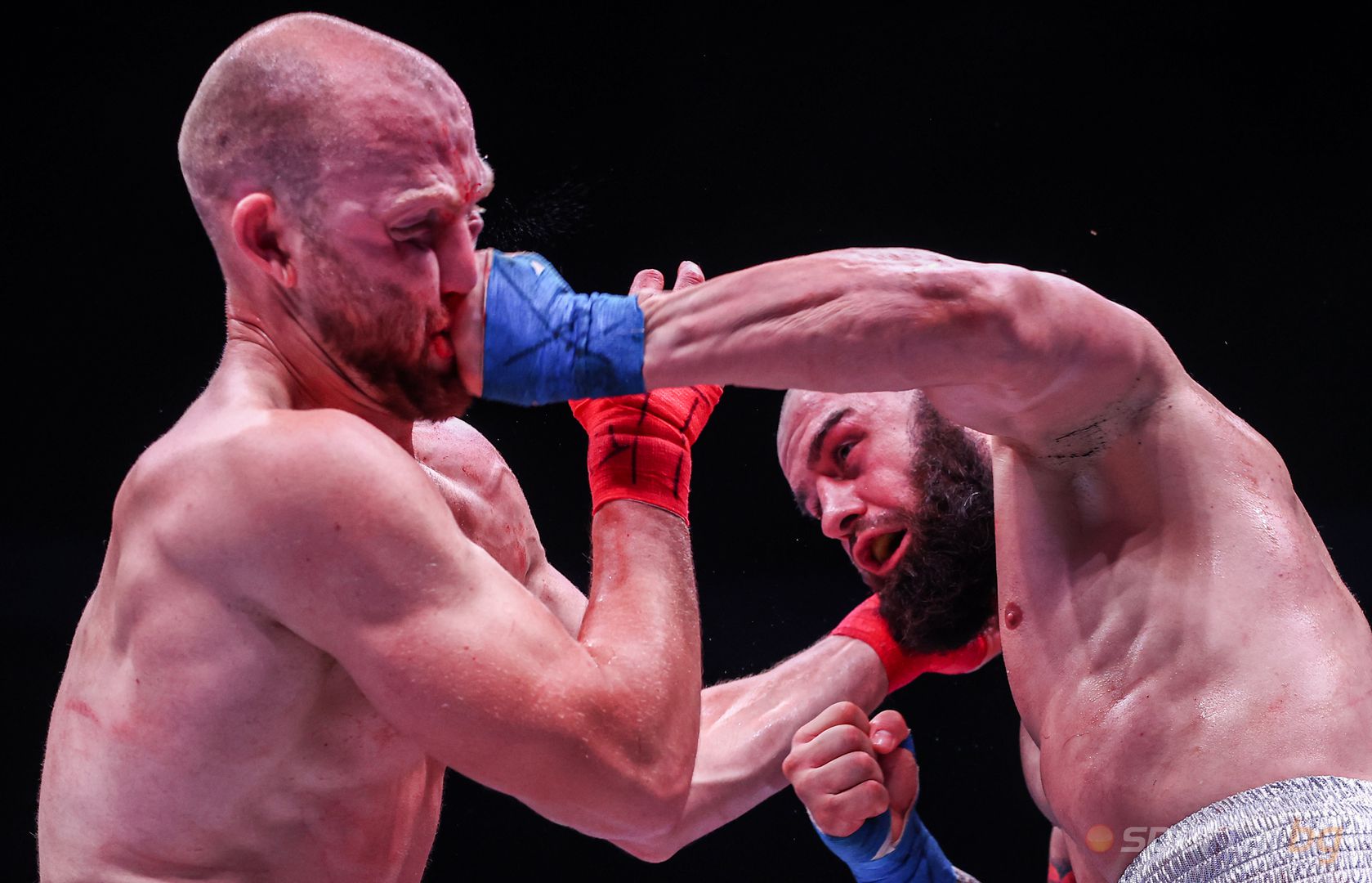 BKFC България