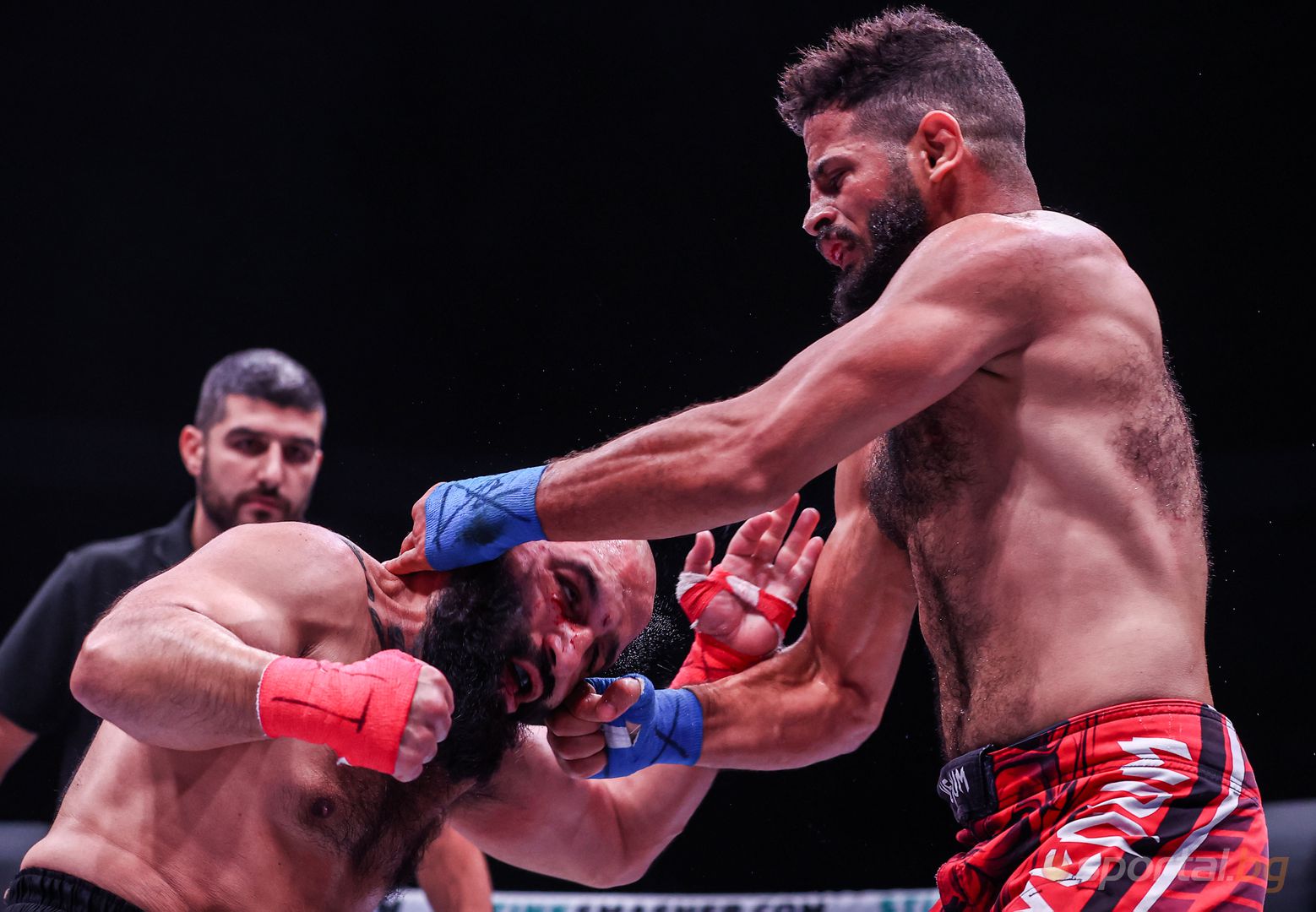 BKFC България