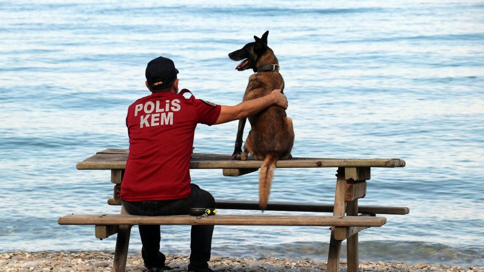 Турция праща на Мондиала 3250 офицери и 50 кучета