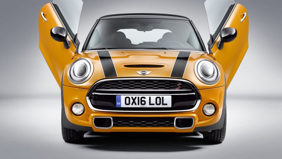 MINI маха с крила (Галерия)