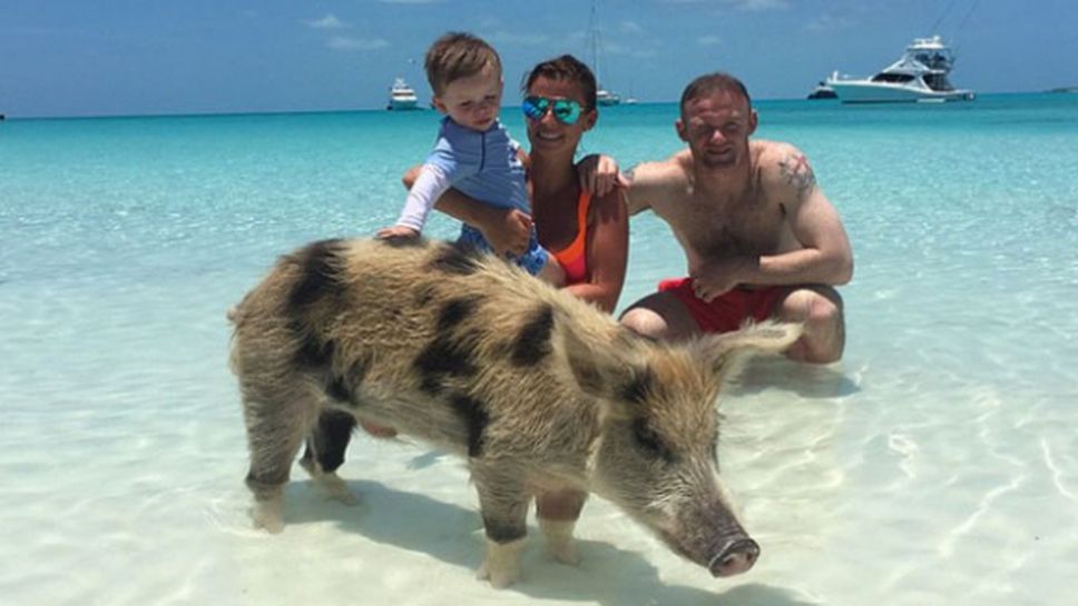 Слънце, море и... малко прасе