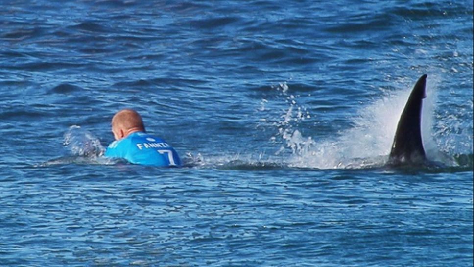 Шокиращо - акула атакува трикратен световен шампион (ВИДЕО + СНИМКИ)