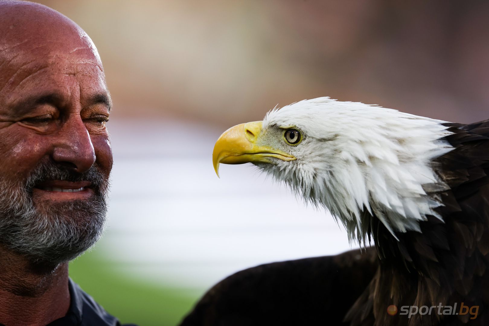  Лудогорец - Шамрок Роувърс 