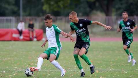 Зидан от Перник