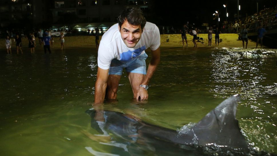 Федерер храни диви делфини