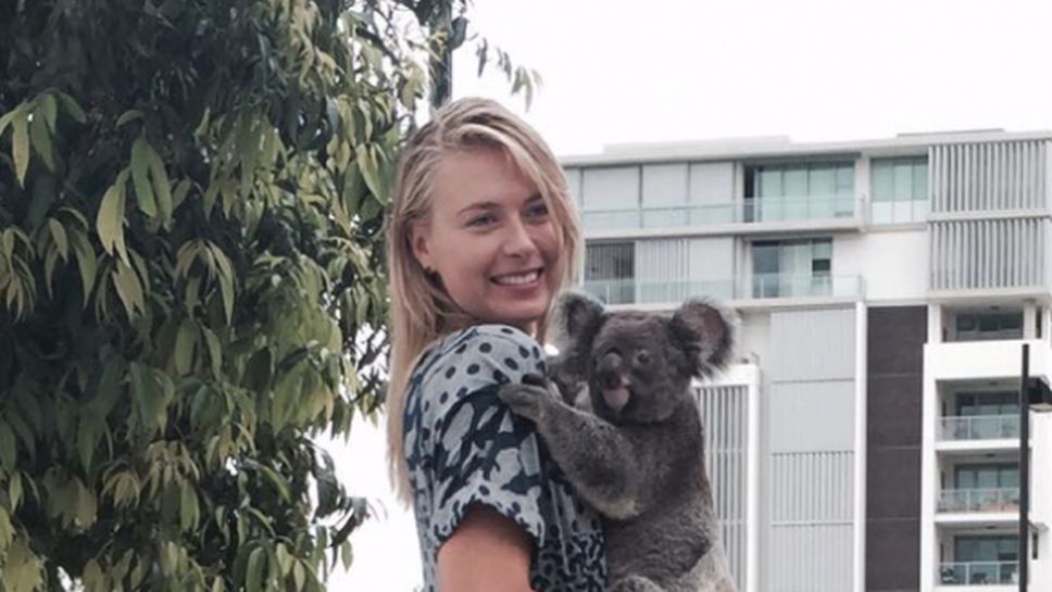 Коя е по-фотогенична - Маша или коалата?