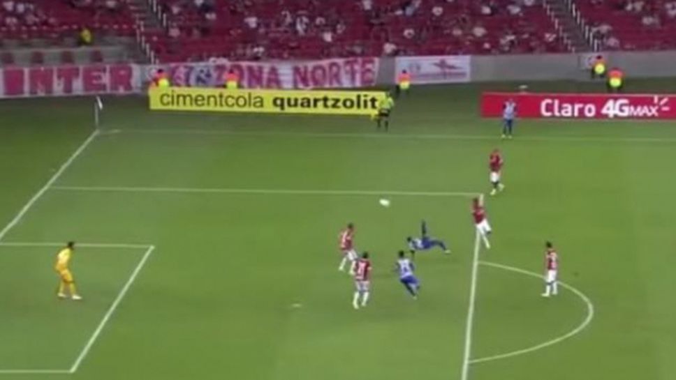 Такива голове не се виждат всеки ден! (видео)