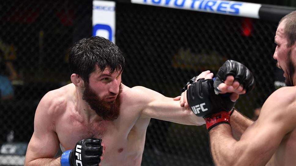 Магомед Анкалаев и Умар Нурмагомедов получиха съперници за UFC Абу Даби