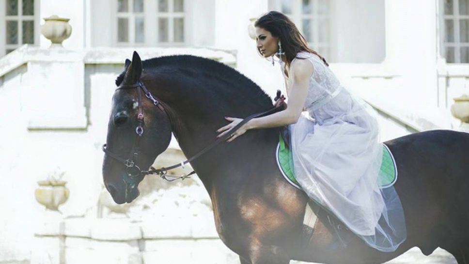 Шпанович и конете