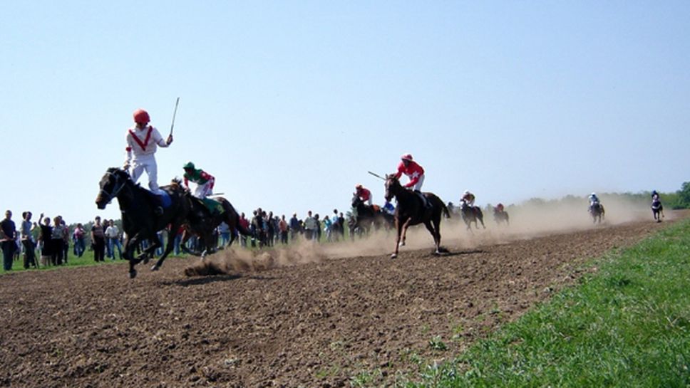 Горни Дъбник ще бъде домакин на шампионата по конен спорт на България тази събота