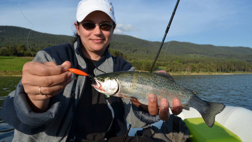 Тон и половина пъстърва  за състезанието на "Доспат"