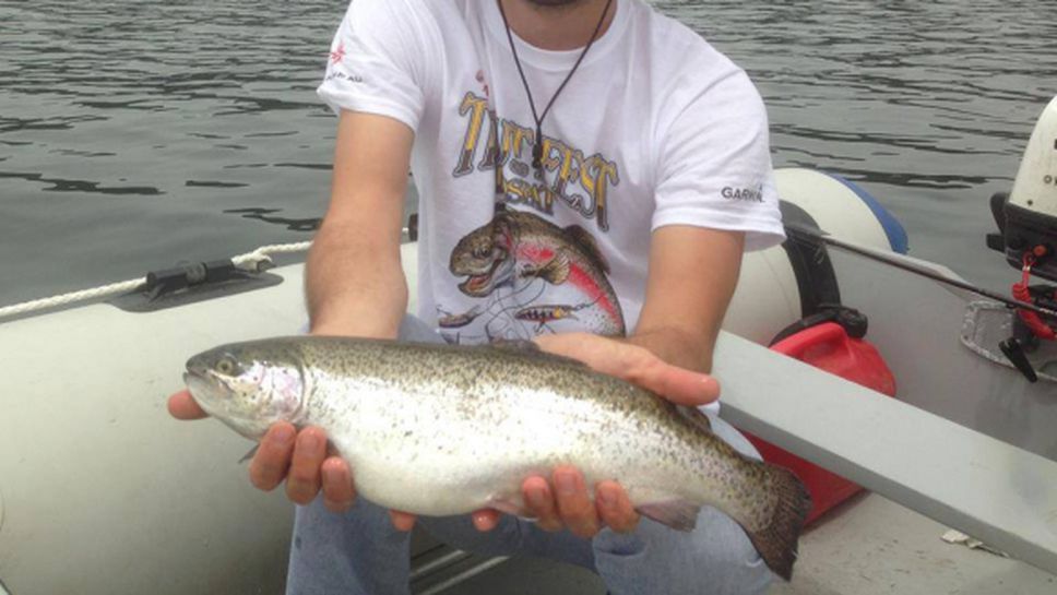 Огромна пъстърва реши състезанието на "Доспат"