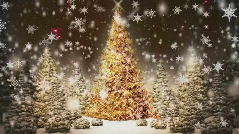 Берое пожелава „Весела Коледа!“