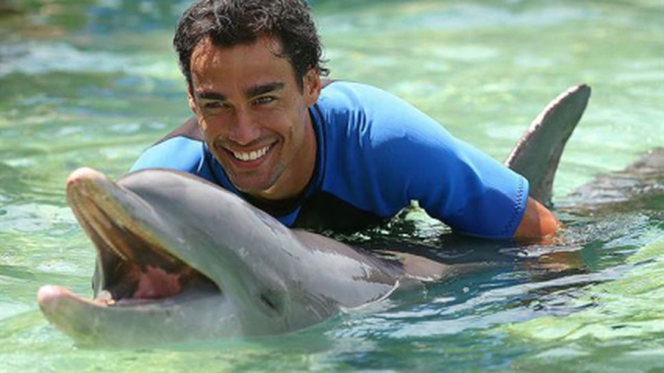 Целувка с делфин