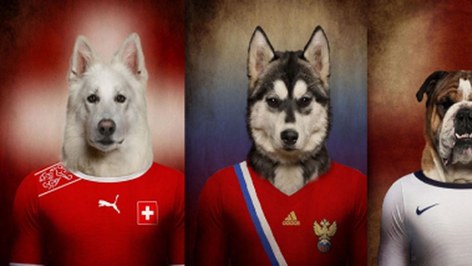 Кучешки Мондиал (галерия)