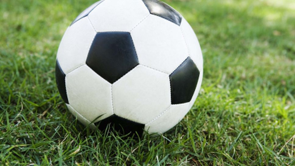 Лоша поличба за Белгия: делфинчето Ориги умря