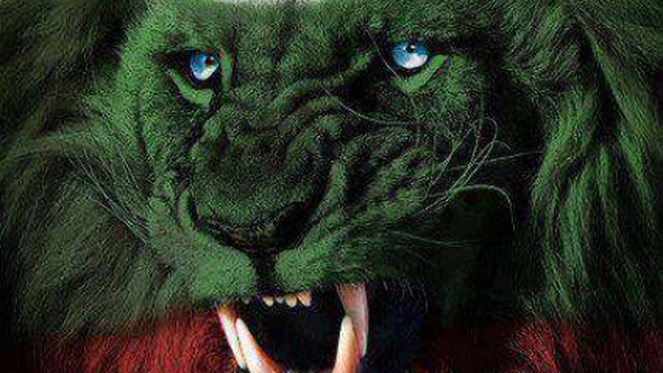 Камило Плачи: Айде, българските лъвове!