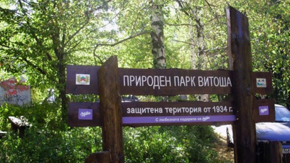 Отбелязват 80-годишнината на Природен парк "Витоша" със спортен празник