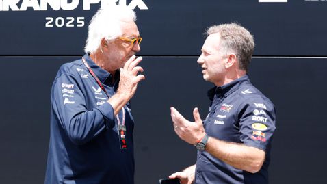  Бриаторе удостовери, че Хорнър договаря за дял в Алпин 