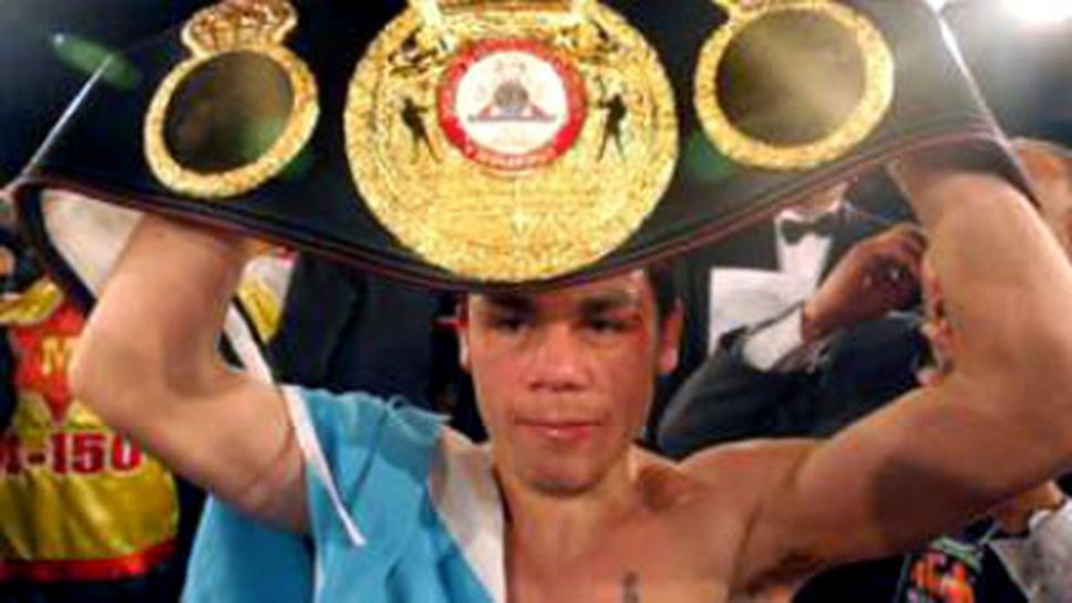 Ревеко защити пояса